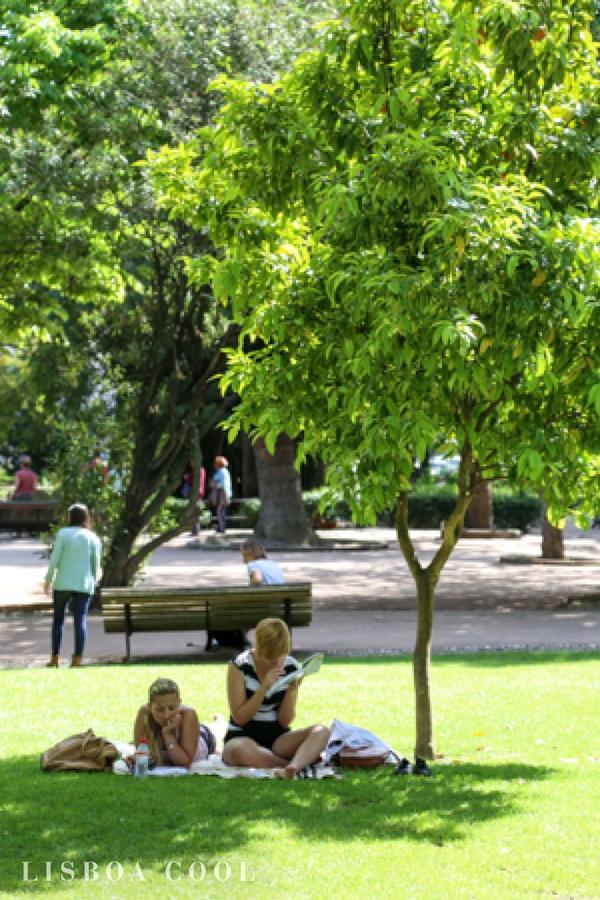 Campo De Ourique Premium Lisboa
